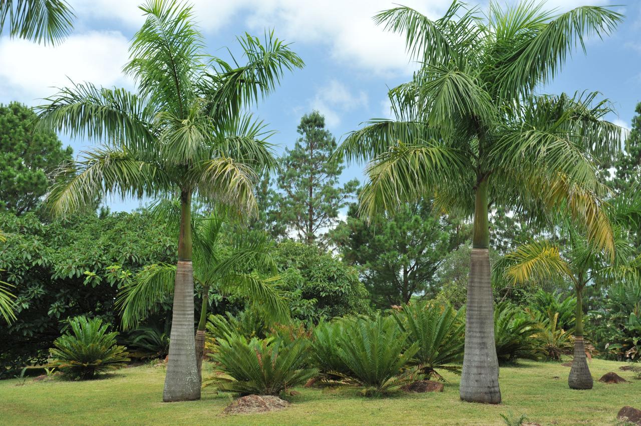 Summerfield Botanical Garden & Exclusive Resort Matsapha Екстериор снимка